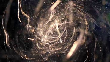 Телемагазин Версаль 31.10.2020 #1