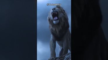 Менталитет царя зверей льва 🦁🔥Мотивация #мотивациянауспех #силаволи #левша #успех #funny #short
