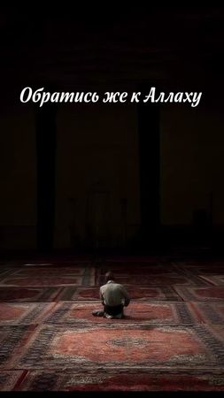 #напоминаниеверующим #ислам_религия_мира_добра #islamic_media #islami...