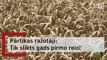 Sliktā graudu raža apgrūtina pārtikas ražotāju darbu