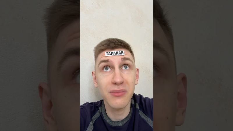 ТАРАКАН ШПИОН