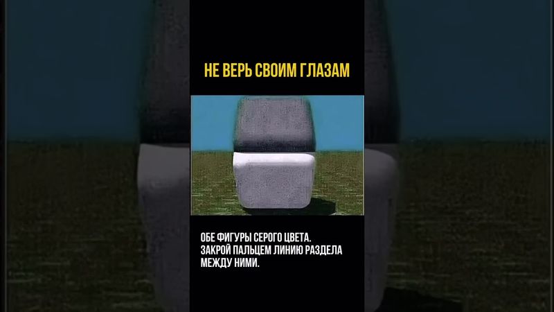 Мозг 🧠 нейропластичен. Его нужно тренировать каждый день #клуб