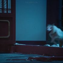 this scene 🥺 #theuntamed #weiying  #wangxian  #foryou #weiwuxian #dra...