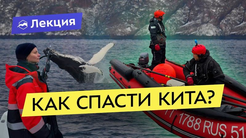 История спасения кита Станислава от первого лица