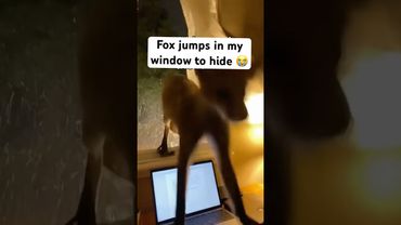 Waktu berubah, tapi cinta tak pernah berubah #hewansehat