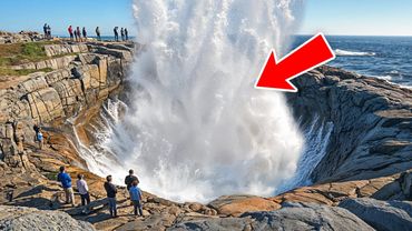 Если вы видите это, даже не думайте приближаться