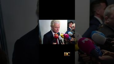 Dutch PM calls election after coalition collapse