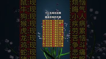 十二生肖在近期踢走所有的不顺！ #運勢 #人生感悟 #生肖 #正能量