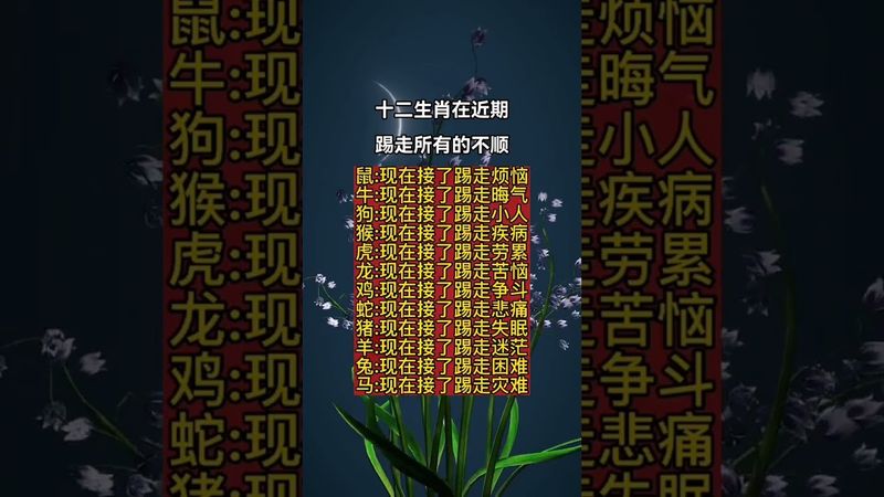 十二生肖在近期踢走所有的不顺！ #運勢 #人生感悟 #生肖 #正能量
