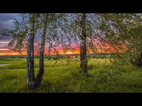 ВСЕМ ИЩУЩИМ ПОМОЩИ. Преподобный Исаак Сирин.