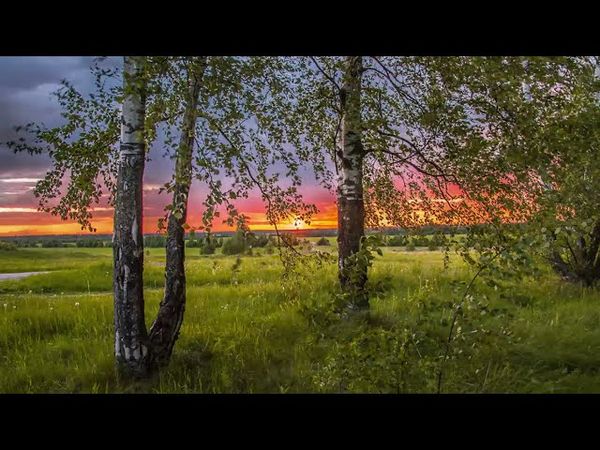 ВСЕМ ИЩУЩИМ ПОМОЩИ. Преподобный Исаак Сирин.