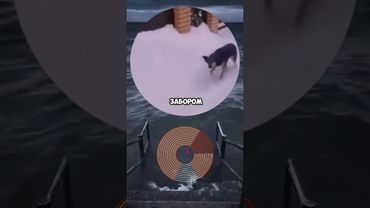 #shorts #кружок #мем #смешно