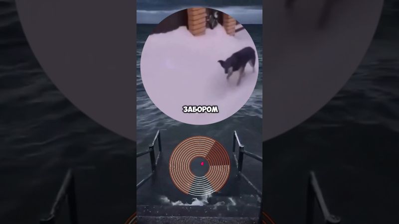 #shorts #кружок #мем #смешно