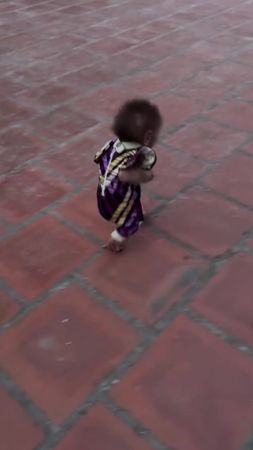 Monitos Lindos y Juguetones 948