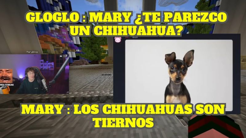 MARY Y CHERRY DICEN A QUÉ RAZA DE PERRO SE PARECE GLOGLO