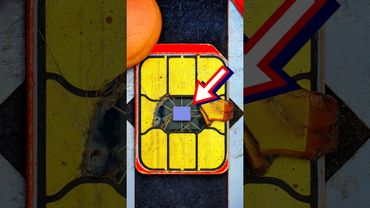 What’s Inside a SIM Card? Cutting a SIM Card to Reveal the Hidden Chip #repair