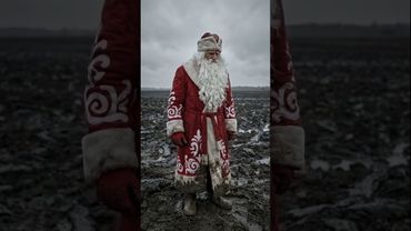 Дед Мороз провёл аудит российских ресурсов #ai