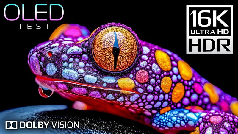 OLED Test - 16K VIDEO ULTRA HD | 16K HDR Dolby Vision (4K/8K TV)
