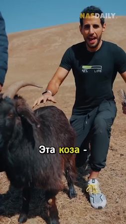 нет #батек #рек 