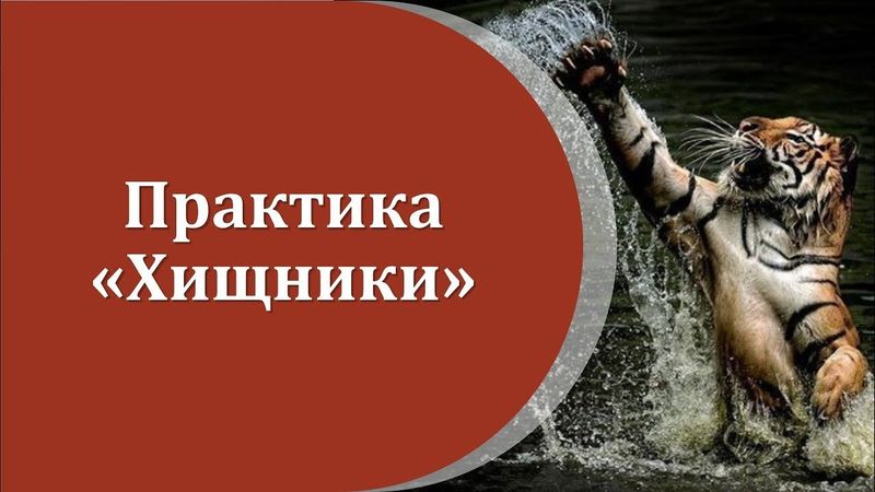 Практика «Хищники». 1-й уровень активации мужского