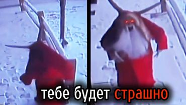 Самые Ужасные Видео со Всего Мира #80 НОВОГОДНИЙ ВЫПУСК