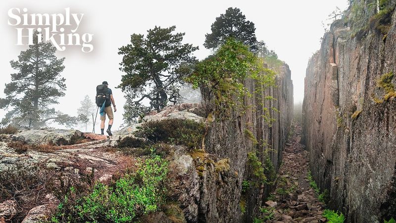 Discover Slåttdalsskrevan: Sweden's Hidden Canyon 4K Virtual Hike | Pure Nature Escape