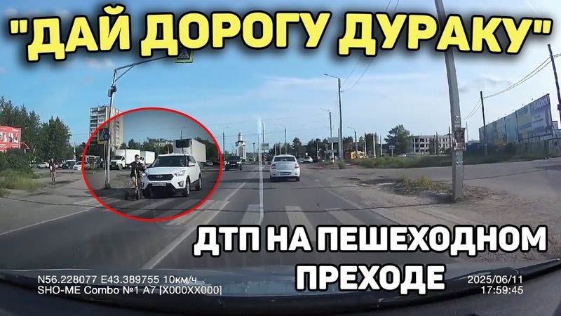 Автоподборка "Дай Дорогу Дураку"🚶ДТП На Пешеходном#453