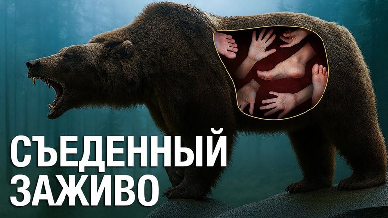 8 ЖУТКИХ СЛУЧАЕВ, когда животные убивали людей