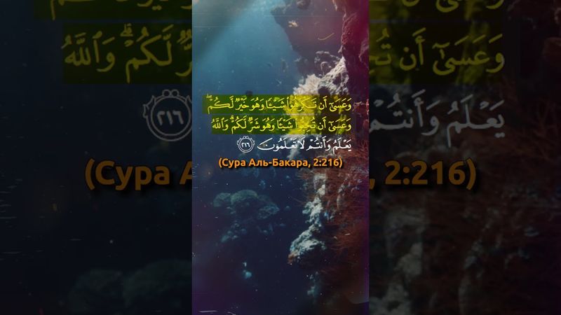 Как уповать на Аллаха, когда всё рушится? #shorts