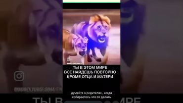 довольство Аллаха, довольство родителей ❤️ #islam #islamicstatus #мама #папа #топ #shorts