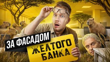 Что скрывается за вылизанным фасадом желтого банка? / Удаленка vs. Офис