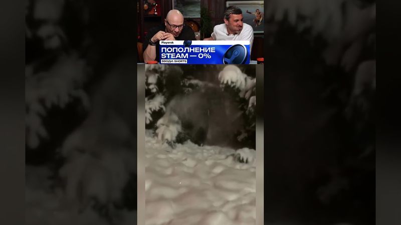 ЗАСМЕЯЛСЯ-ПОДПИСАЛСЯ! Ч.008😂🤣 ЛУЧШИЕ ПРИКОЛЫ!