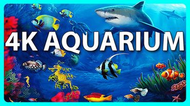 Das beste entspannende Aquarium 4K 🐠 Schlafen, Entspannen, Meditieren - 2 Stunden - 4K UHD