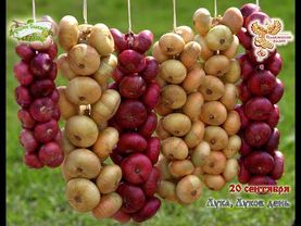 Братья Месяцы. 20 сентября - Лука, Луков день