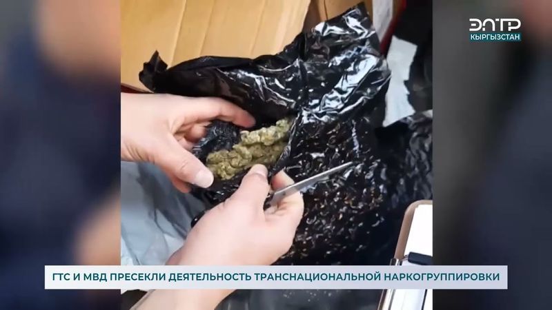 ГТС И МВД ПРЕСЕКЛИ ДЕЯТЕЛЬНОСТЬ ТРАНСНАЦИОНАЛЬНОЙ НАРКОГРУППИРОВКИ