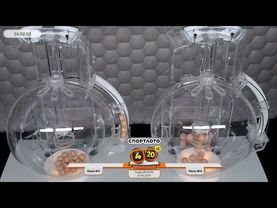 Столото представляет | Лотерея «Спортлото «4 из 20». Тираж № 10794 от 19.06.2025 г.