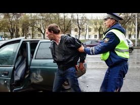 Водятлы и торопыги  выпуск 203