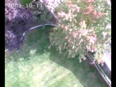 Pigeon Camera test flight