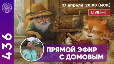 #436 Прямой эфир с ДОМОВЫМ. Особенности атмосферы дома