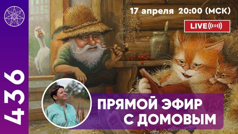 #436 Прямой эфир с ДОМОВЫМ. Особенности атмосферы дома