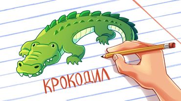 ВЕЧЕРНИЙ УГАР!!! НОВЫЙ КРОКОДИЛ!!!