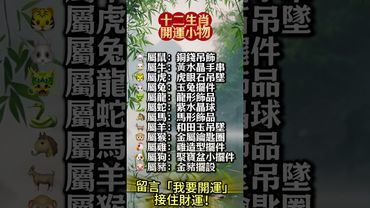 十二生肖專屬開運小物，你帶對了嗎？財運立刻翻倍！#生肖運勢 #玄學 #風水 #命理