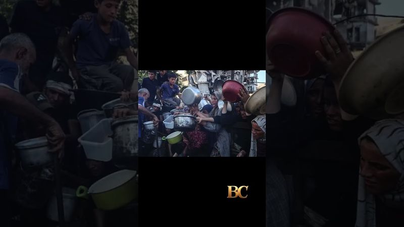 Officials say 85 Palestinians seeking aid are killed in Gaza