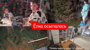 VLOG Это дождь из ёлок идёт... Иголки сыплет мне в рот