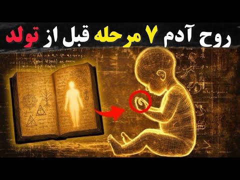 کتاب ممنوعه 1200 ساله که مراحلی را که روح شما  قبل از تجسم طی می کند را آشکار می کند!