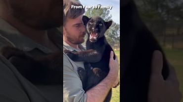 From Fear to Family | Panther Rescue Story