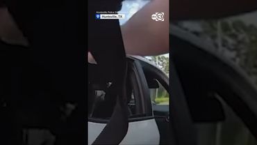Huntsville police release bodycam video showing New Orleans jail escapees being captured in Texas