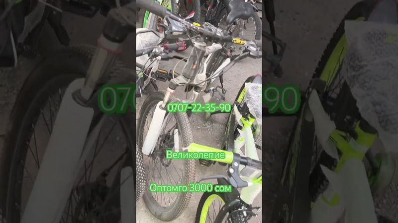 Велик оптом 3000