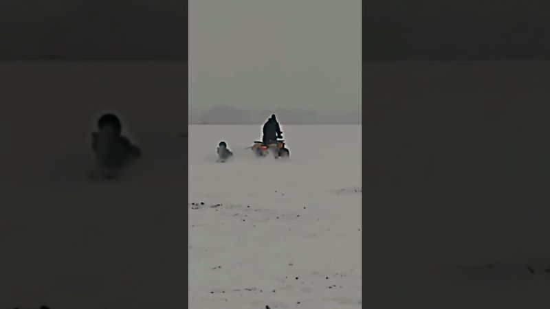 Покатушки на квадрике зимой.#shorts