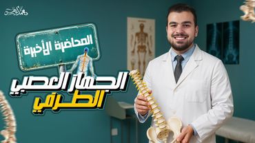 الجهاز العصبي الطرفي - آخر محاضرة أحياء 2 ثانوي - تم بحمد الله